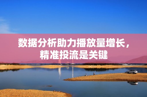 数据分析助力播放量增长，精准投流是关键