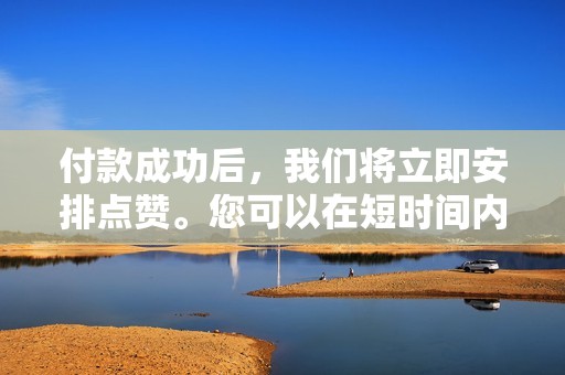 付款成功后，我们将立即安排点赞。您可以在短时间内看到您的点赞数大幅提升！