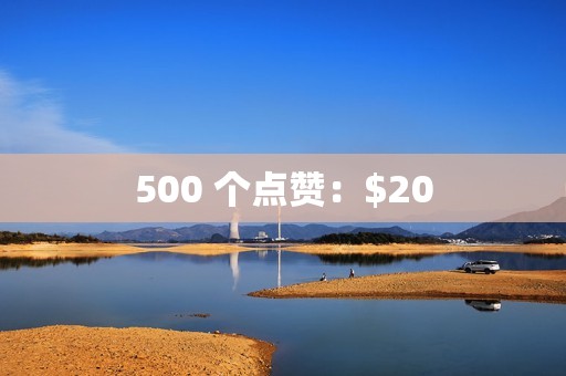 500 个点赞：$20