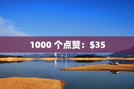 1000 个点赞：$35