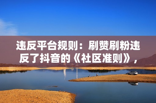 违反平台规则：刷赞刷粉违反了抖音的《社区准则》，其中明确禁止任何形式的作弊行为。