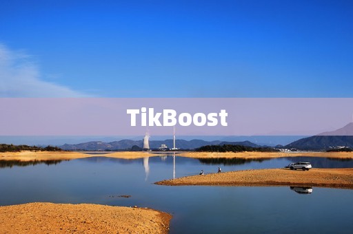 TikBoost