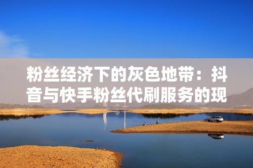 粉丝经济下的灰色地带：抖音与快手粉丝代刷服务的现状与挑战