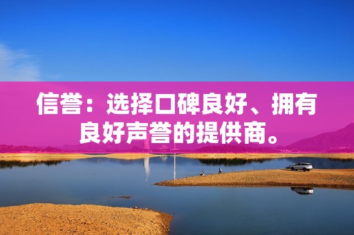 信誉：选择口碑良好、拥有良好声誉的提供商。