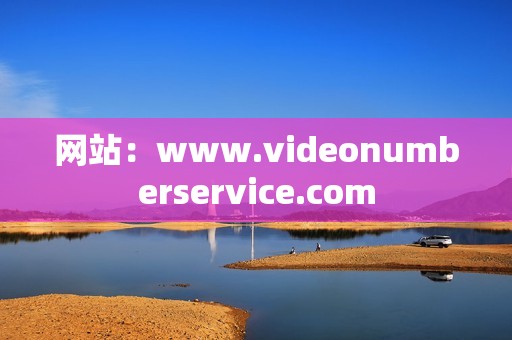 网站：www.videonumberservice.com