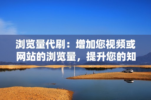 浏览量代刷：增加您视频或网站的浏览量，提升您的知名度和影响力。