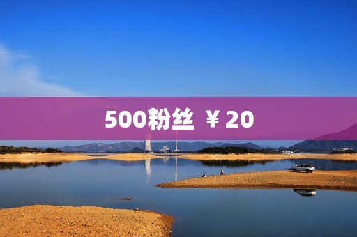 500粉丝 ￥20