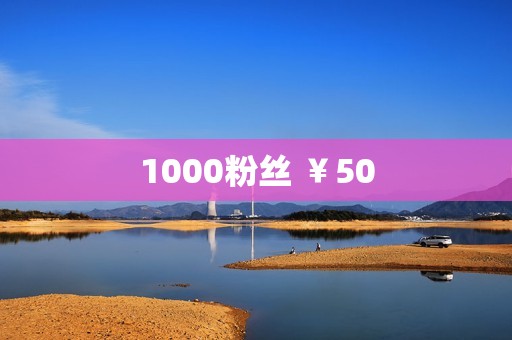 1000粉丝 ￥50