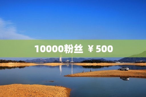 10000粉丝 ￥500