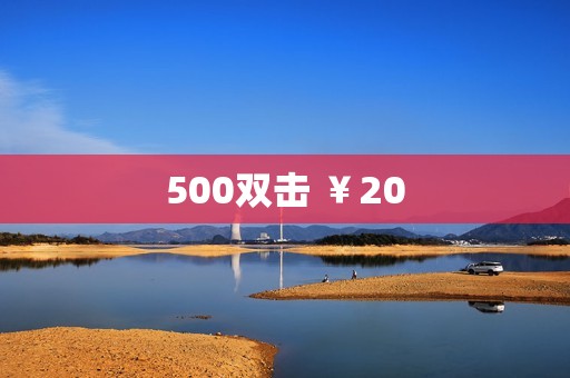 500双击 ￥20