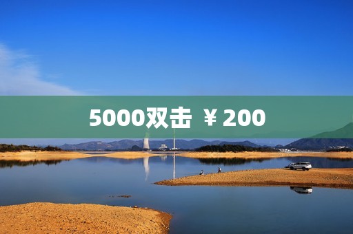 5000双击 ￥200