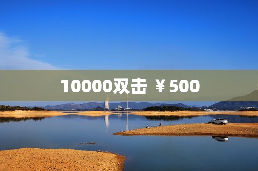 10000双击 ￥500