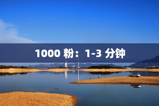 1000 粉：1-3 分钟