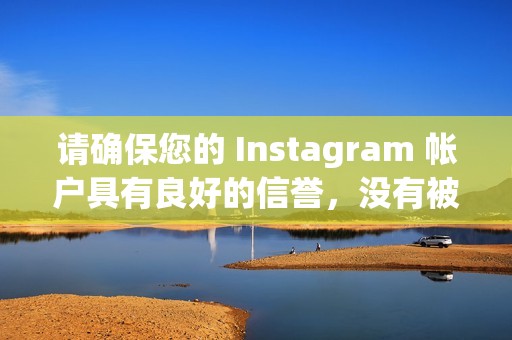 请确保您的 Instagram 帐户具有良好的信誉，没有被封禁或限制。