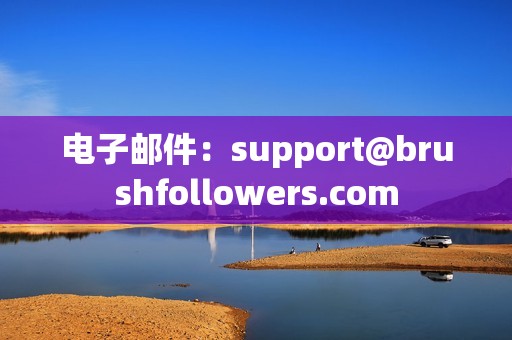 电子邮件：support@brushfollowers.com