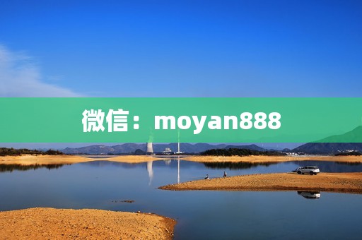 微信：moyan888