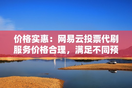 价格实惠：网易云投票代刷服务价格合理，满足不同预算需求。