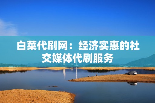 白菜代刷网：经济实惠的社交媒体代刷服务