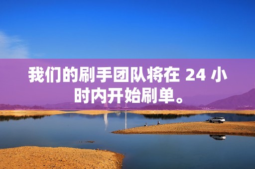 我们的刷手团队将在 24 小时内开始刷单。