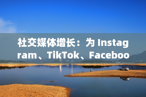 社交媒体增长：为 Instagram、TikTok、Facebook 和 Twitter 等社交媒体账户吸引粉丝、点赞和评论。