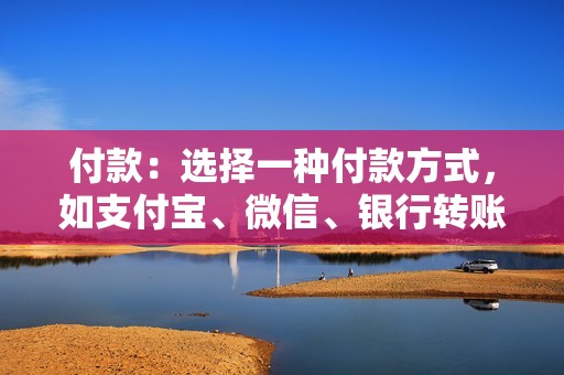 付款：选择一种付款方式，如支付宝、微信、银行转账等，并完成付款。