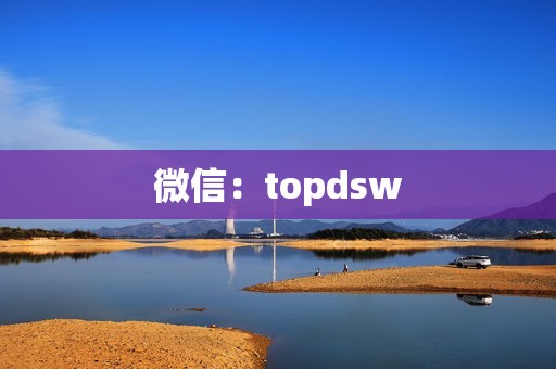 微信：topdsw