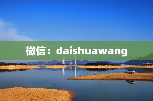 微信：daishuawang