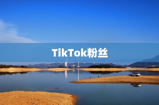 TikTok粉丝