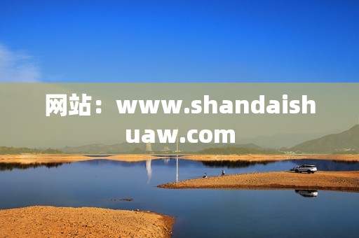 网站：www.shandaishuaw.com