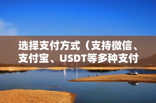 选择支付方式（支持微信、支付宝、USDT等多种支付方式）