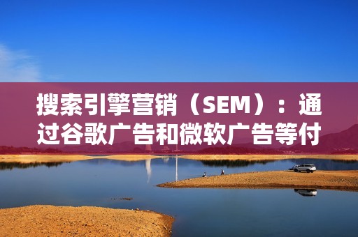 搜索引擎营销（SEM）：通过谷歌广告和微软广告等付费广告渠道