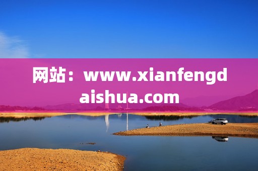 网站：www.xianfengdaishua.com