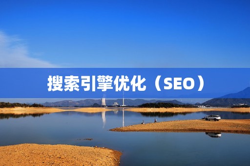 搜索引擎优化（SEO）