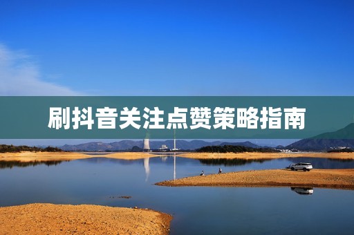 刷抖音关注点赞策略指南