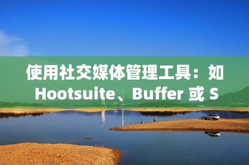 使用社交媒体管理工具：如 Hootsuite、Buffer 或 SproutSocial 等工具可以提供深入的分析，包括点赞数量、参与度率等指标。