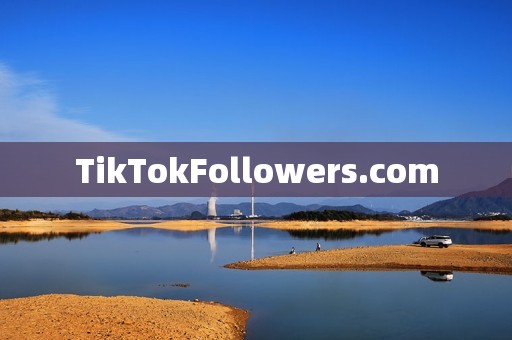 TikTokFollowers.com