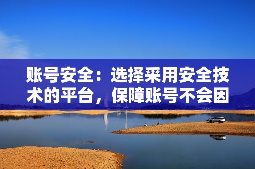 账号安全：选择采用安全技术的平台，保障账号不会因刷粉而出现封号等风险。