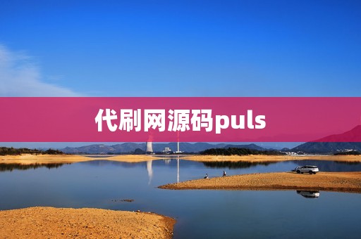 代刷网源码puls