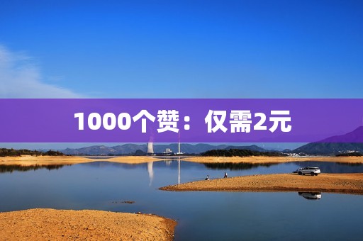 1000个赞：仅需2元