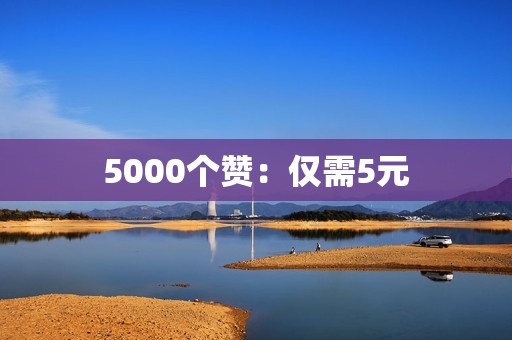 5000个赞：仅需5元