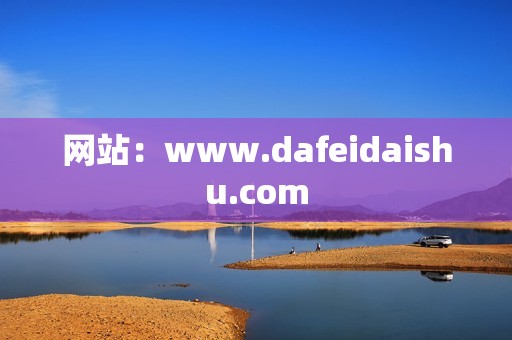 网站：www.dafeidaishu.com