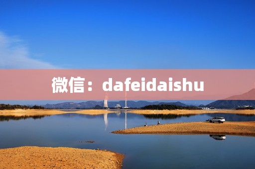 微信：dafeidaishu