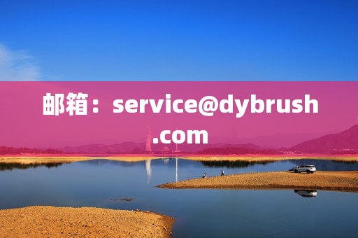 邮箱：service@dybrush.com