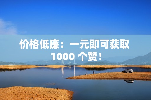 价格低廉：一元即可获取 1000 个赞！