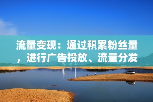 流量变现：通过积累粉丝量，进行广告投放、流量分发等变现方式。