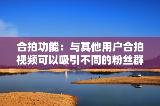 合拍功能：与其他用户合拍视频可以吸引不同的粉丝群体