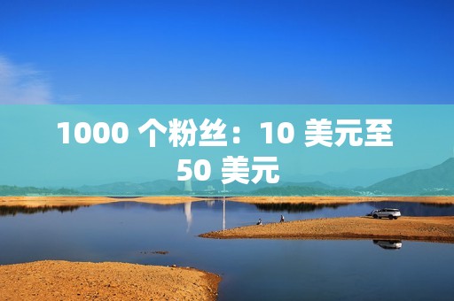 1000 个粉丝：10 美元至 50 美元