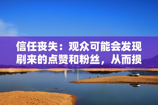 信任丧失：观众可能会发现刷来的点赞和粉丝，从而损害您在追随者心中的可信度。