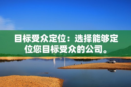 目标受众定位：选择能够定位您目标受众的公司。