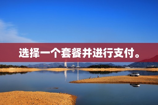 选择一个套餐并进行支付。